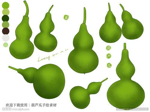 吃葫芦瓜视频素材下载免费,免费下载视频，解锁家常烹饪秘诀  第1张