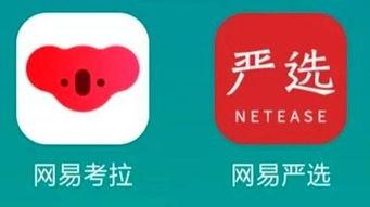 网易考拉最新爆料,揭秘跨境电商新动态与趋势 第1张 网易考拉最新爆料,揭秘跨境电商新动态与趋势 第1张