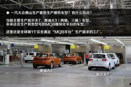 大众化工厂爆料视频播放  第1张